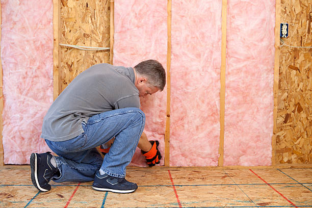 Best Insulation Contractors for Homes  in USA